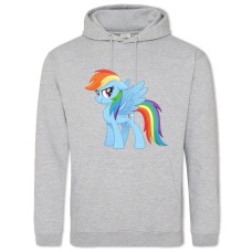 Худі з принтом Дружба Це Диво. Моя Маленька Поні Рейнбоудеш - 2XL сірий