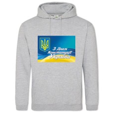 Hoodie with Print Constitution Day Coat Of Arms On Flag Background - 2XL grey