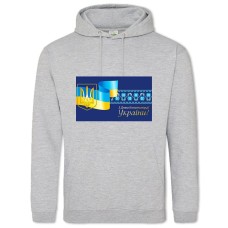 Hoodie with Print Constitution Day On The Background Of The Coat Of Arms Embroidered Flag - 2XL grey