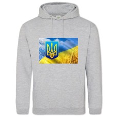 Hoodie with Print Constitution Day Embroidered Wheat Field - 2XL grey