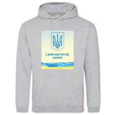 Hoodie with Print Constitution Day Emblem - 2XL grey