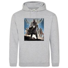 Hoodie with Print Destiny - 2XL grey