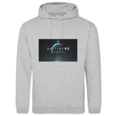 Hoodie with Print Destiny 2 Shadowkeep - 2XL grey