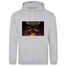 Hoodie with Print Diablo Immortal - 2XL grey
