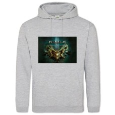 Hoodie with Print Diablo Enternal Collection - 2XL grey