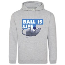 Hoodie with Print The Secret Life Of Pets Ball Is Life - 2XL grey