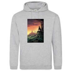 Hoodie with Print Star Wars Planet - 2XL grey