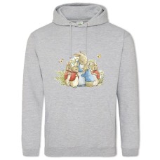 Hoodie with Print Peter Rabbit Heroes - 2XL grey