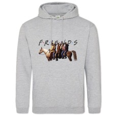 Hoodie with Print Friends Main Heroes Print - 2XL grey
