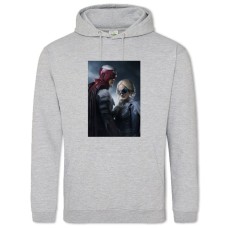 Hoodie with Print Titans Heroes - 2XL grey