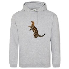 Худи с принтом Бангалская Кошка - 2XL серый