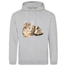 Hoodie with Print Cute Kitten - 2XL grey