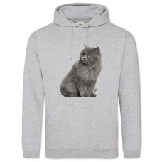 Hoodie with Print Gray Kitten - 2XL grey