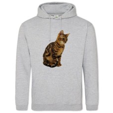 Hoodie with Print Cat Sits - 2XL grey