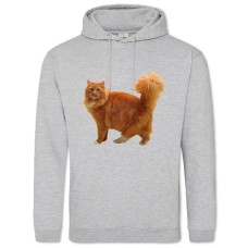 Худі з принтом Рудий Кіт Принт - 2XL сірий