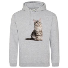 Худи с принтом Гордый Серый Кот - 2XL серый
