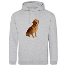 Hoodie with Print Golden Retriever - 2XL grey