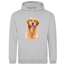 Hoodie with Print Funny Golden Retriever - 2XL grey