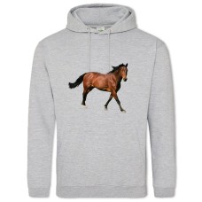Hoodie with Print Horse Walks - 2XL grey