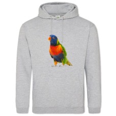 Hoodie with Print Colorful Bird - 2XL grey