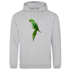 Hoodie with Print Green Parrot - 2XL grey