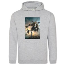 Hoodie with Print Titanfall Heroes Print - 2XL grey