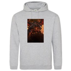 Hoodie with Print World Of Warcraft Dragon - 2XL grey