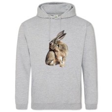 Hoodie with Print Wild Rabbit Scratches - 2XL grey