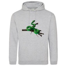 Hoodie with Print Green Snake On Tree - 2XL grey