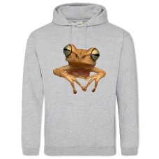 Hoodie with Print Yellow Frog - 2XL grey