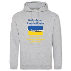 Hoodie with Print Dream plane - 2XL grey