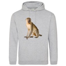 Hoodie with Print Funny Monkey - 2XL grey