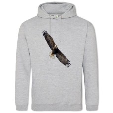 Hoodie with Print Dioganal Eagle - 2XL grey