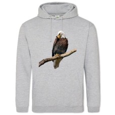 Hoodie with Print Eagle Sits On Stick - 2XL grey