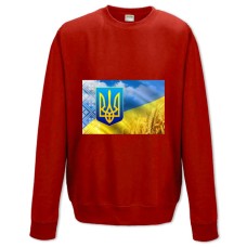 Свитшот с принтом День Конституции Поле Пшеницы Вышиванка - XS красный