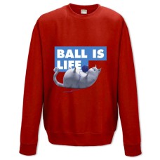 Sweatshort with Print The Secret Life Of Pets Ball Is Life - XS  red