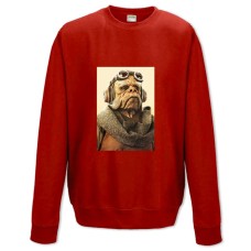Sweatshort with Print The Mandalorian Kuiil - XS  red