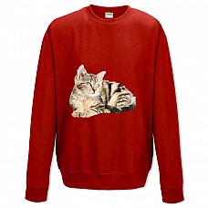 Sweatshort with Print Cute Kitten - XS  red