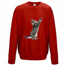 Sweatshort with Print Funny Grey Kitten - XS  red