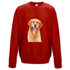 Sweatshort with Print Funny Golden Retriever - XS  red