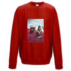 Свитшот с принтом Ноу Менс Скай Герои - XS красный