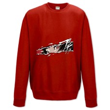 Свитшот с принтом Персона 5 Героический Принт - XS красный