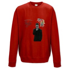 Свитшот с принтом Паник Эт Зе Диско 2 - XS красный