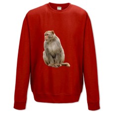 Sweatshort with Print White Monkey - XS  red