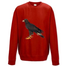 Sweatshort with Print Eagle Stands - XS  red