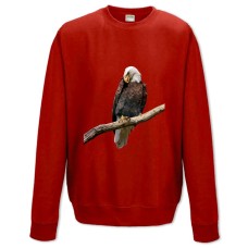 Sweatshort with Print Eagle Sits On Stick - XS  red