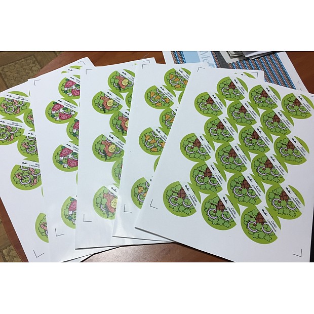Plotter cutting