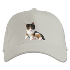 Бейсболка с принтом Котенок Трех Цветов - белая