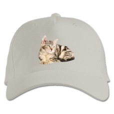 Baseball cap with Print Cute Kitten - white