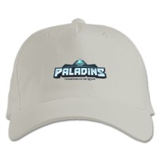 Бейсболка с принтом Паладины Чемпионы Королевства - белая